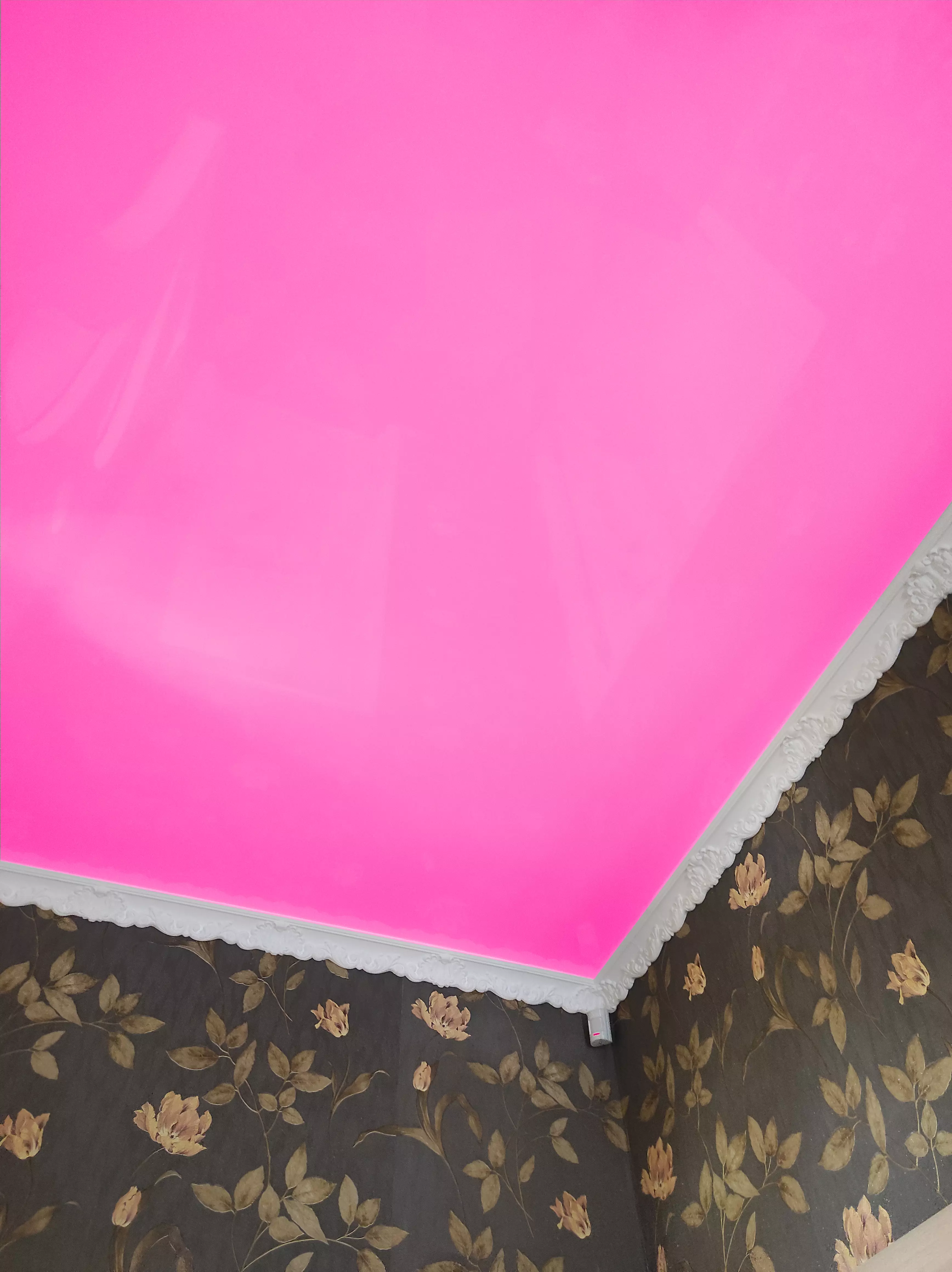 Сыктывкар, улица Зои Космодемьянской, 21, фото 2